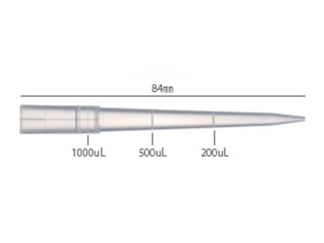 Pipettenspitzen 1000 µl, graduiert, 80 mm lang