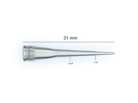 Pipettenspitzen 10 µl, graduiert, 31 mm lang