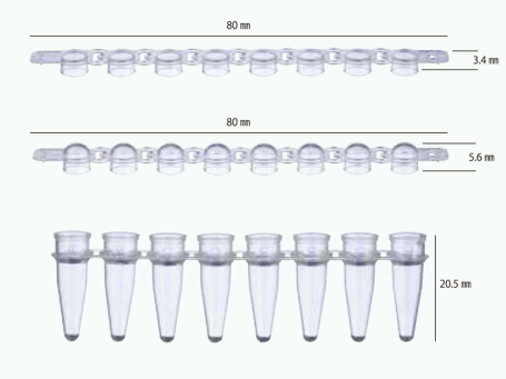 PCR 8er-Strips 0,2 ml ohne Deckel