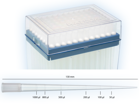 Filterspitzen Extra Lang 1200 µl , 130 mm lang